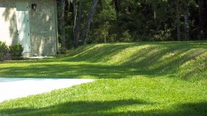 Septic mound